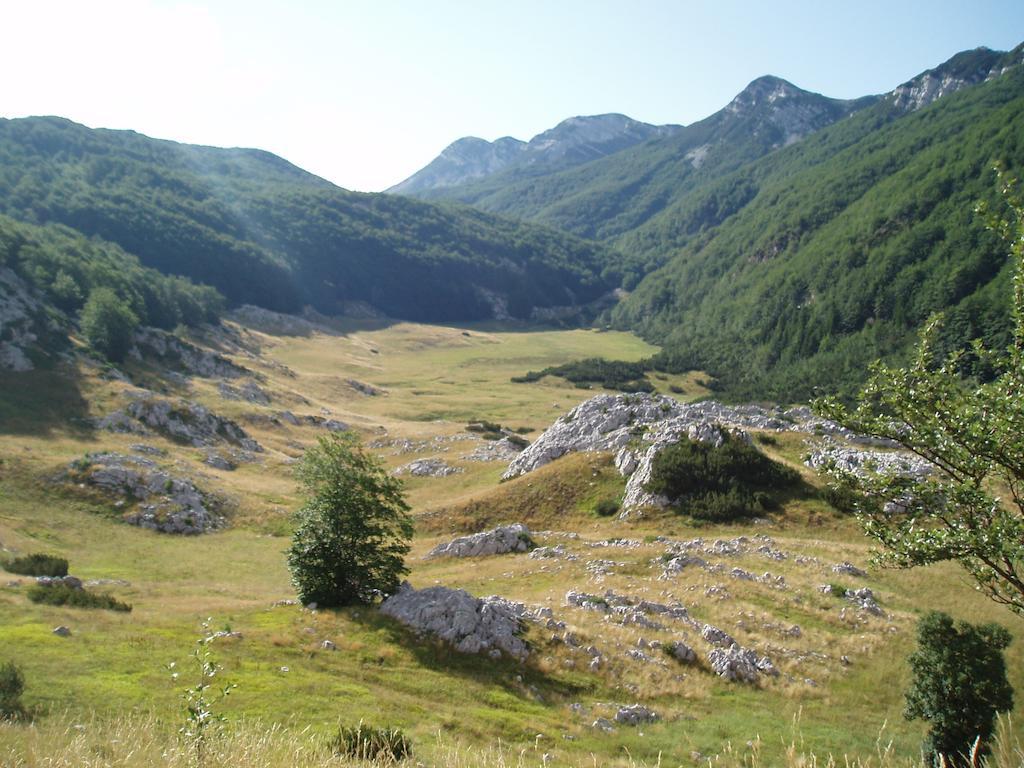 Apartments Amari Starigrad Paklenica Esterno foto