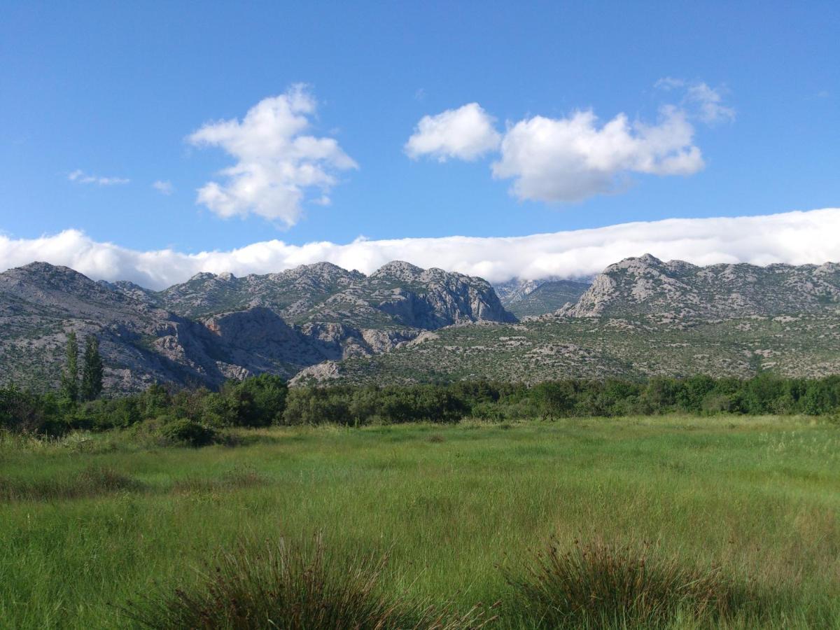 Apartments Amari Starigrad Paklenica Esterno foto